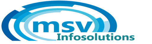msv Infosolutions Logo